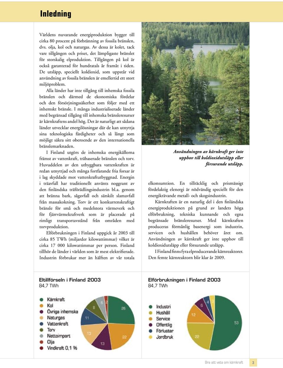 De utsläpp, speciellt koldioxid, som uppstår vid användning av fossila bränslen är emellertid ett stort miljöproblem.