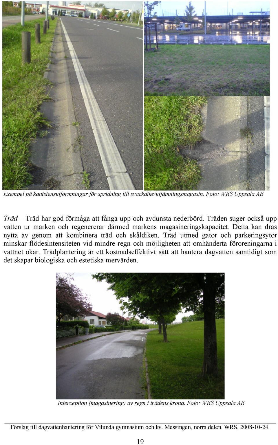 Träd utmed gator och parkeringsytor minskar flödesintensiteten vid mindre regn och möjligheten att omhänderta föroreningarna i vattnet ökar.