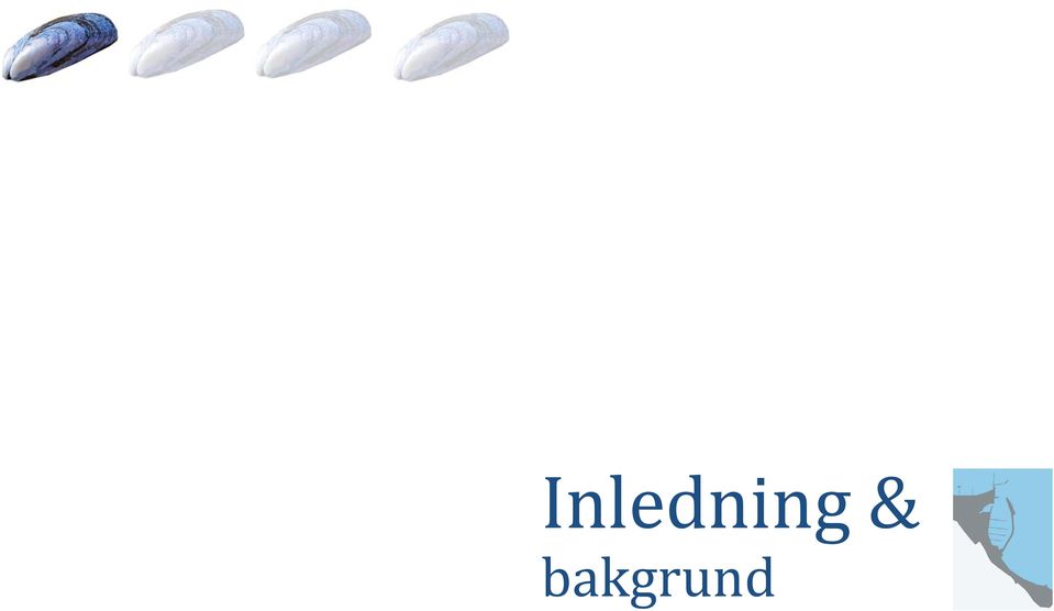 bakgrund