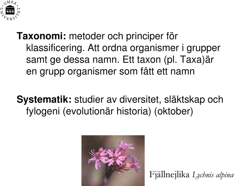 Taxa)är en grupp organismer som fått ett namn Systematik: studier av