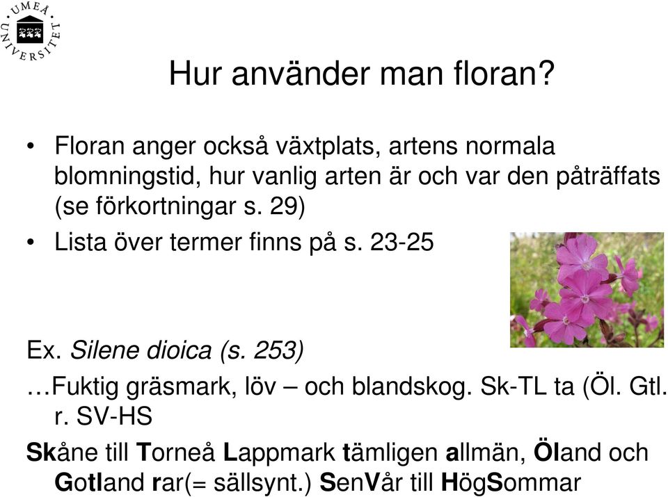 påträffats (se förkortningar s. 29) Lista över termer finns på s. 23-25 Ex. Silene dioica (s.