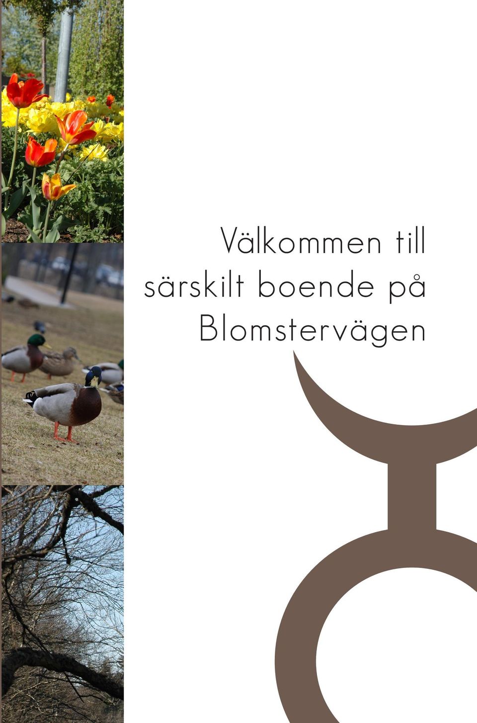 särskilt