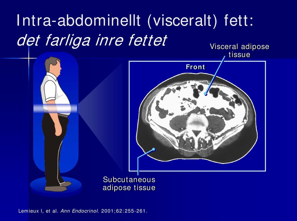 adipose tissue Subcutaneous adipose