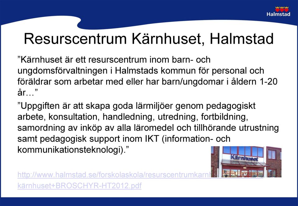 konsultation, handledning, utredning, fortbildning, samordning av inköp av alla läromedel och tillhörande utrustning samt pedagogisk support