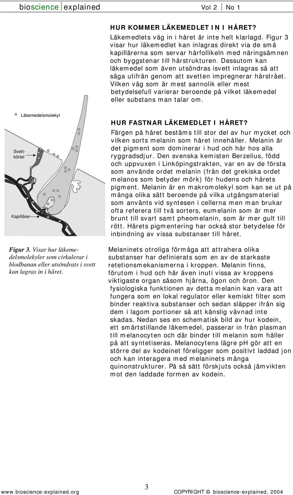 Dessutom kan läkemedel som även utsöndras isvett inlagras så att säga utifrån genom att svetten impregnerar hårstrået.