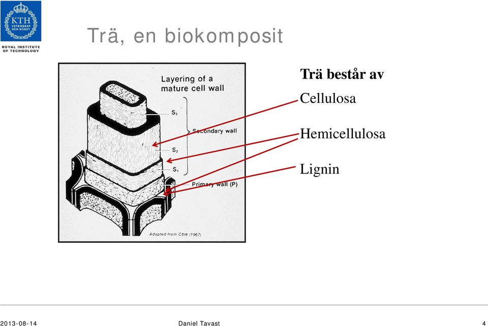 Cellulosa