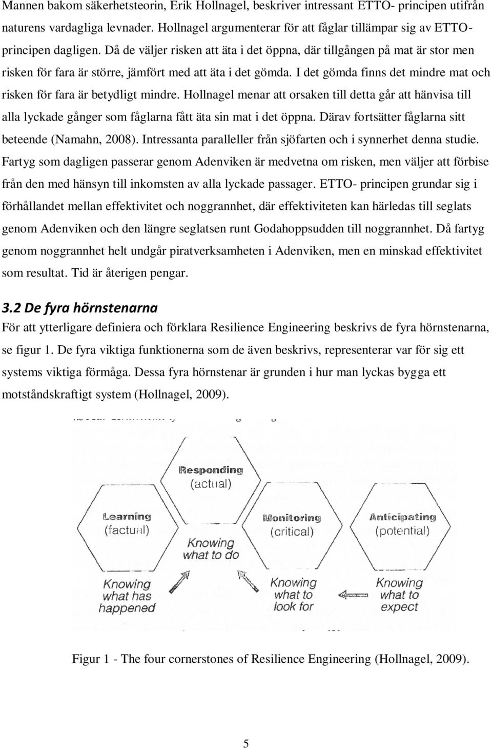 Då de väljer risken att äta i det öppna, där tillgången på mat är stor men risken för fara är större, jämfört med att äta i det gömda.