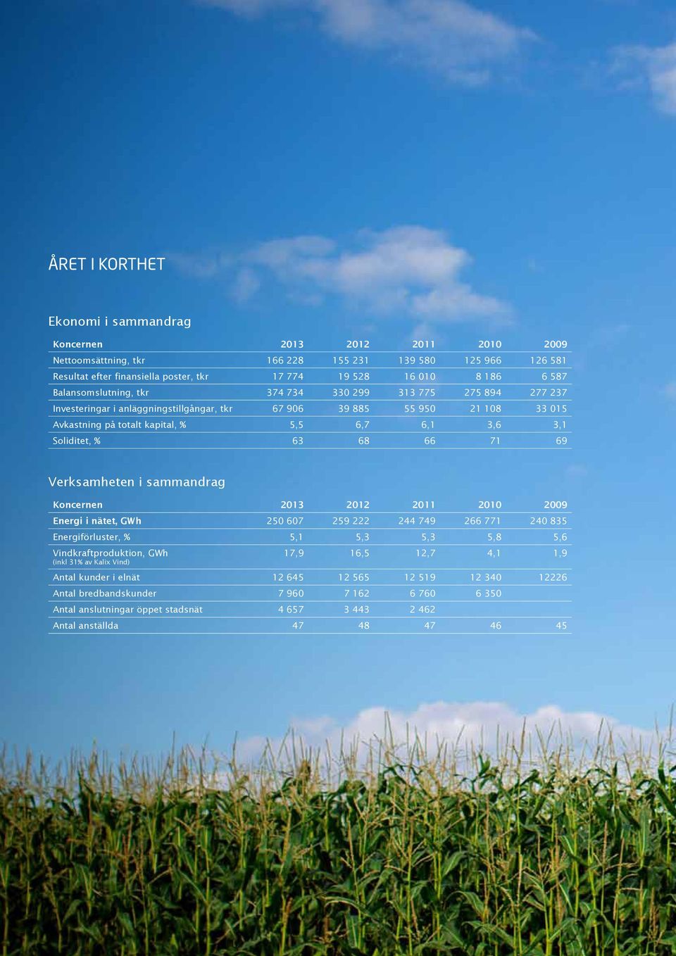 Soliditet, % 63 68 66 71 69 Verksamheten i sammandrag Koncernen 2013 2012 2011 2010 2009 Energi i nätet, GWh 250 607 259 222 244 749 266 771 240 835 Energiförluster, % 5,1 5,3 5,3 5,8 5,6