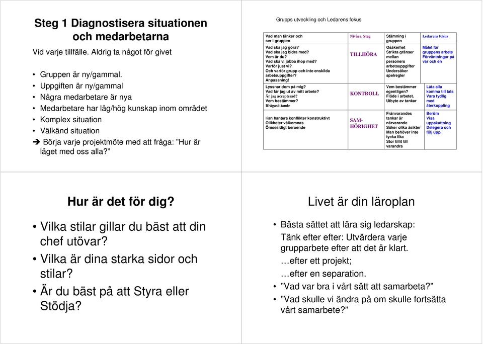 Grupps utveckling och Ledarens fokus Vad man tänker och ser i gruppen Vad ska jag göra? Vad ska jag bidra med? Vem är du? Vad ska vi jobba ihop med? Varför just vi?