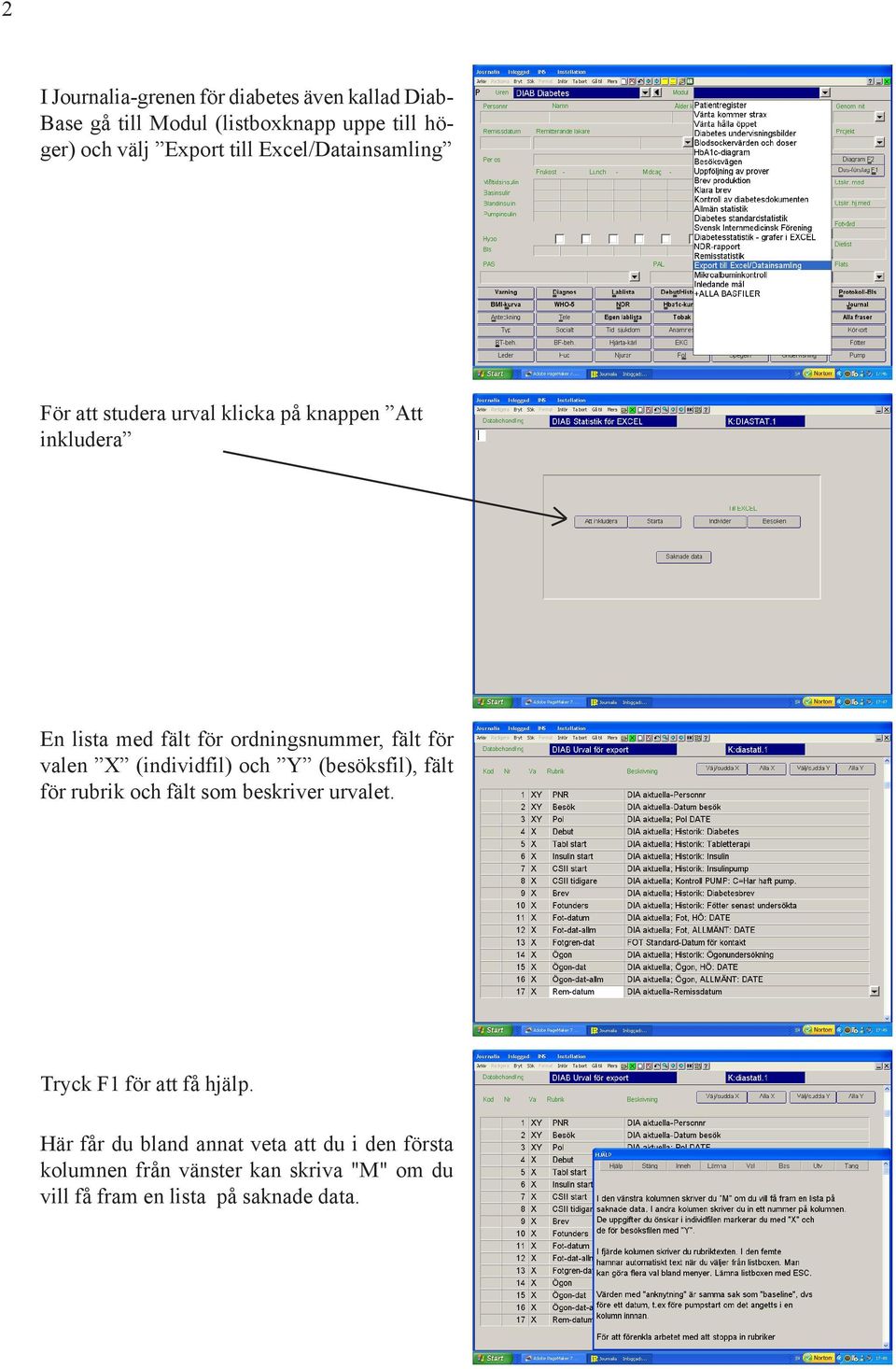 valen X (individfil) och Y (besöksfil), fält för rubrik och fält som beskriver urvalet. Tryck F1 för att få hjälp.