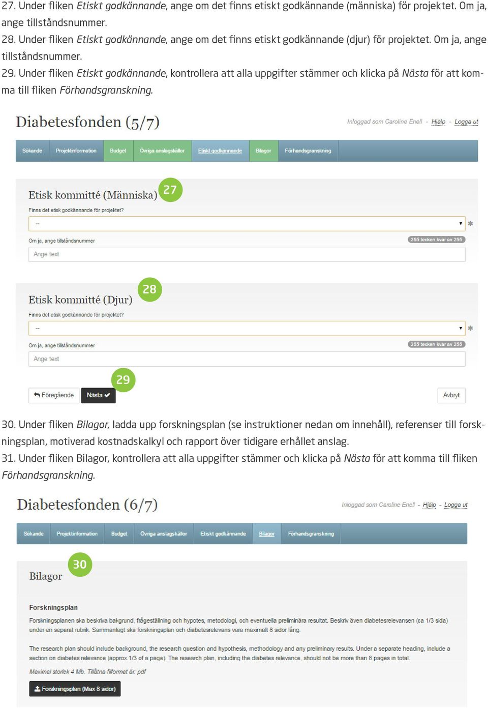 Under fliken Etiskt godkännande, kontrollera att alla uppgifter stämmer och klicka på Nästa för att komma till fliken Förhandsgranskning. 27 28 29 30.