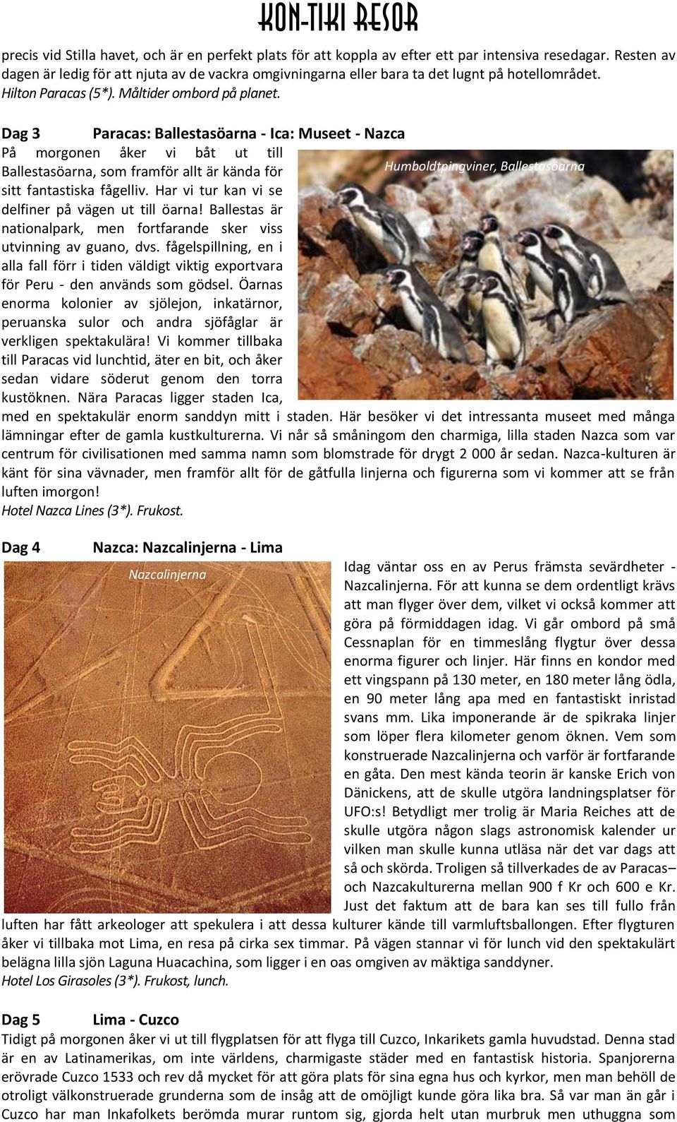 Dag 3 Paracas: Ballestasöarna - Ica: Museet - Nazca På morgonen åker vi båt ut till Ballestasöarna, som framför allt är kända för Humboldtpingviner, Ballestasöarna sitt fantastiska fågelliv.