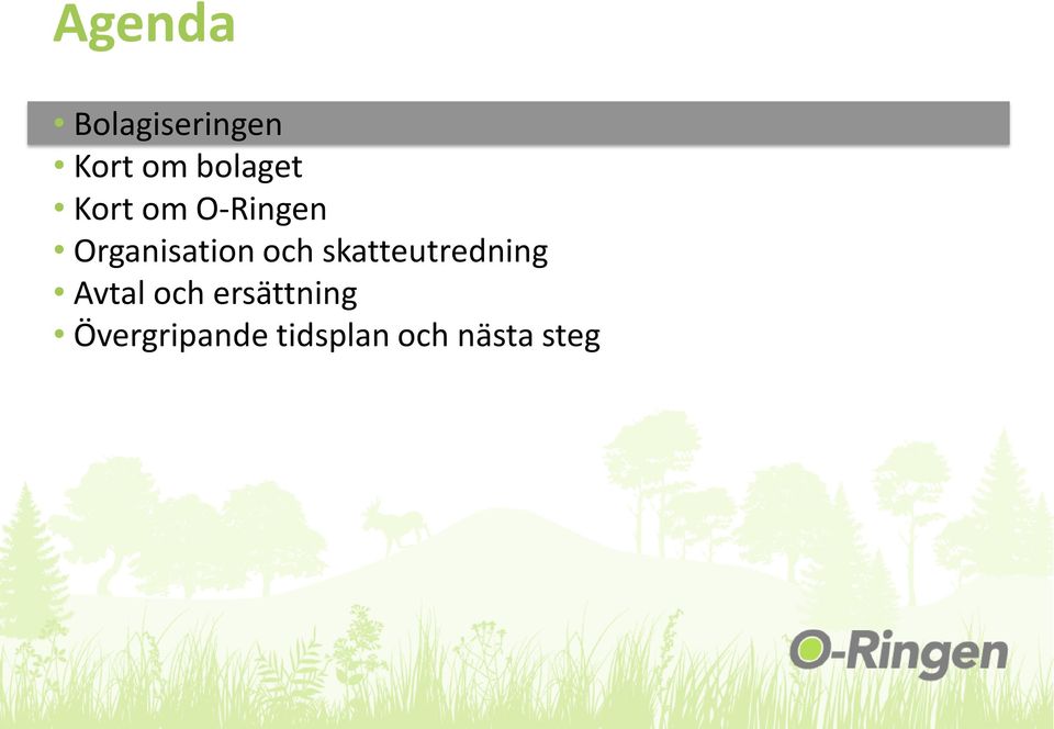 Organisation och skatteutredning