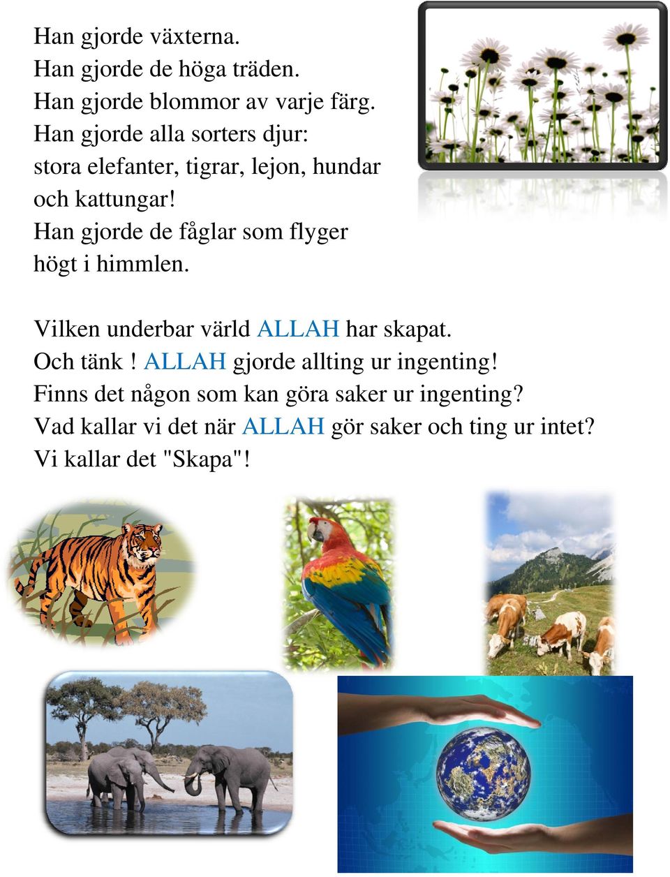 Han gjorde de fåglar som flyger högt i himmlen. Vilken underbar värld ALLAH har skapat. Och tänk!