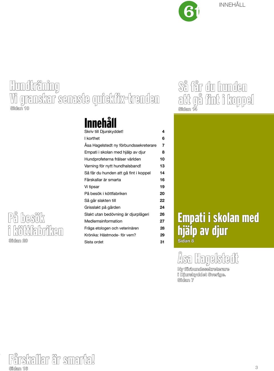 13 Så får du hunden att gå fint i koppel 14 Fårskallar är smarta 16 Vi tipsar 19 På besök i köttfabriken 20 Så går slakten till 22 Grisslakt på gården 24 Slakt utan bedövning är djurplågeri 26