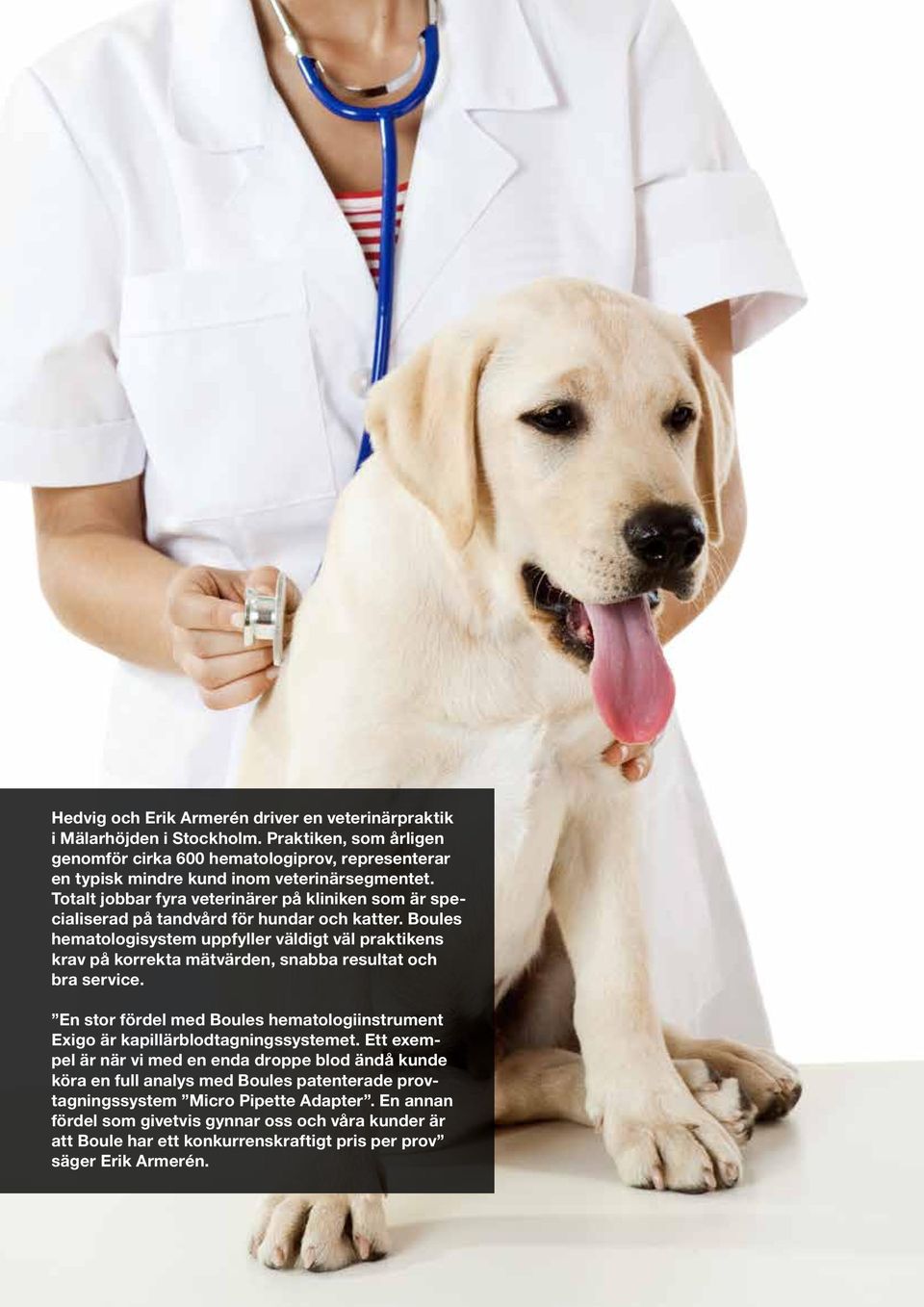 Totalt jobbar fyra veterinärer på kliniken som är specialiserad på tandvård för hundar och katter.