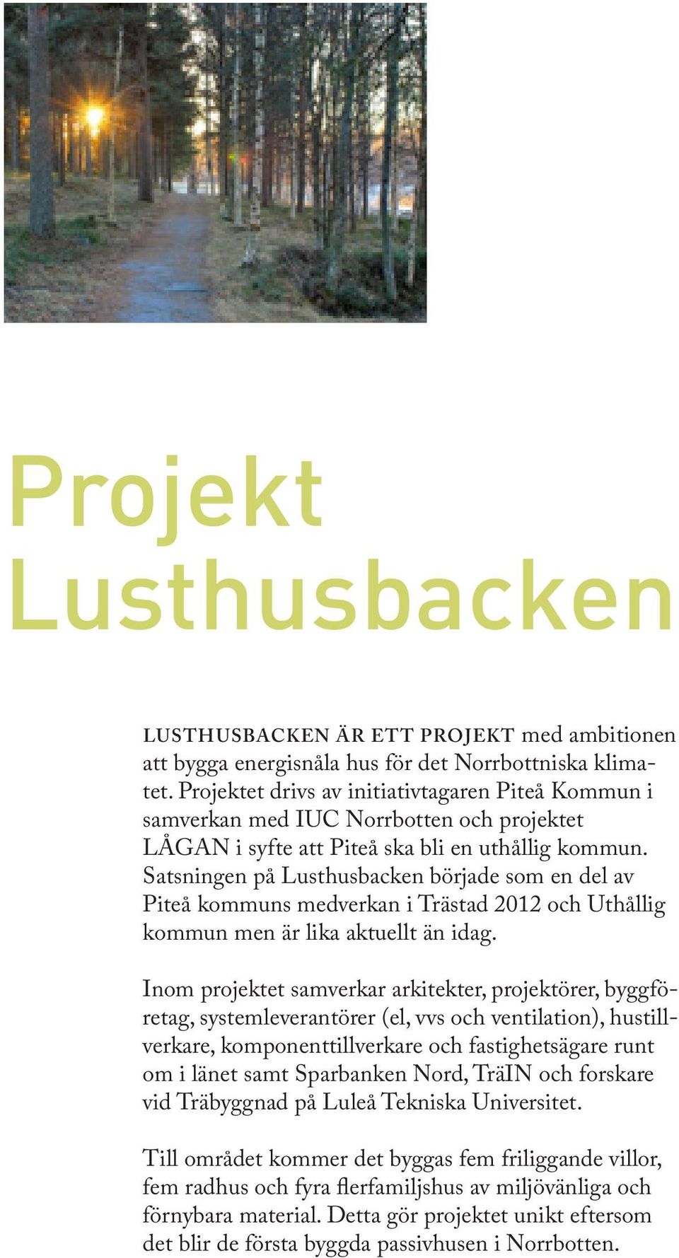 Satsningen på Lusthusbacken började som en del av Piteå kommuns medverkan i Trästad 2012 och Uthållig kommun men är lika aktuellt än idag.