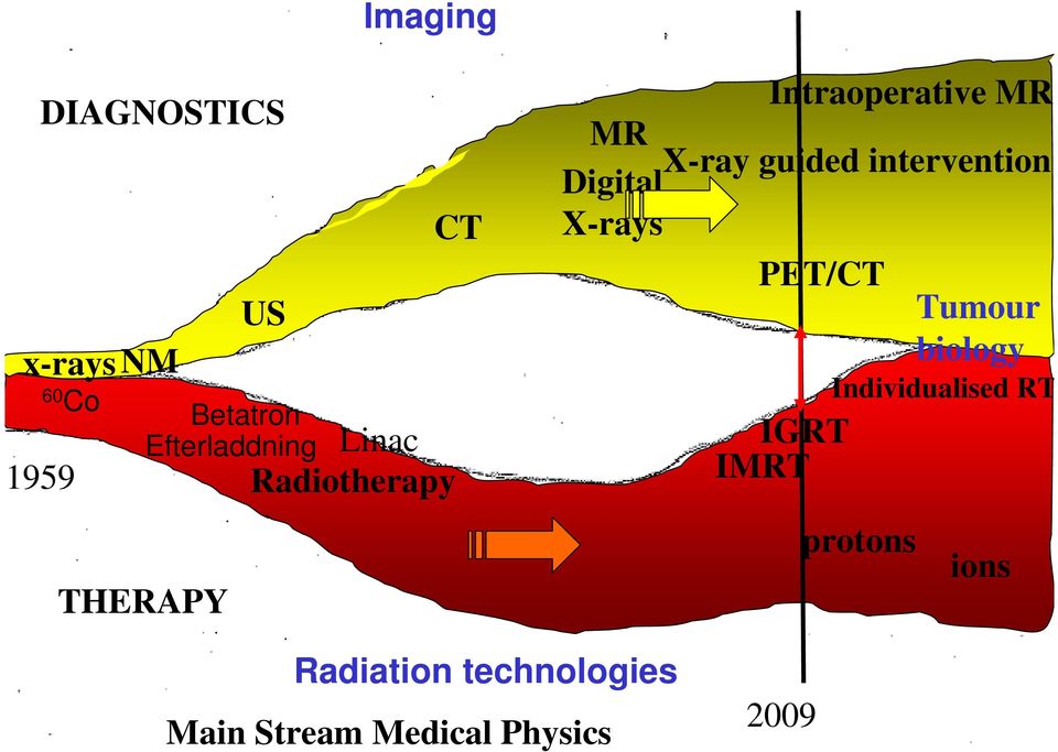 intervention Digital X-rays PET/CT Tumour biology Individualised RT