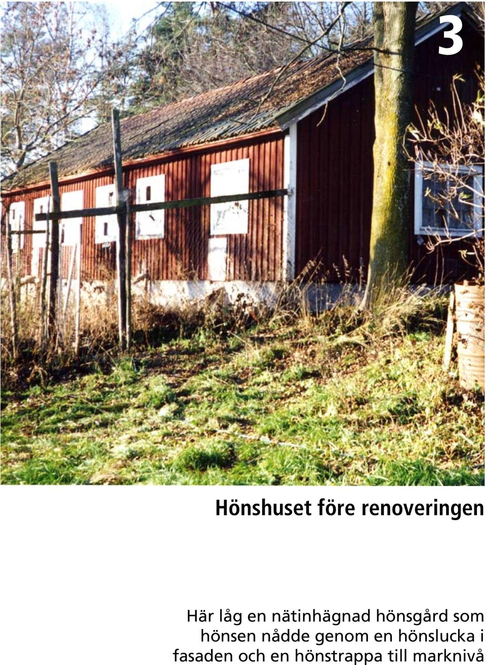 hönsen nådde genom en hönslucka i