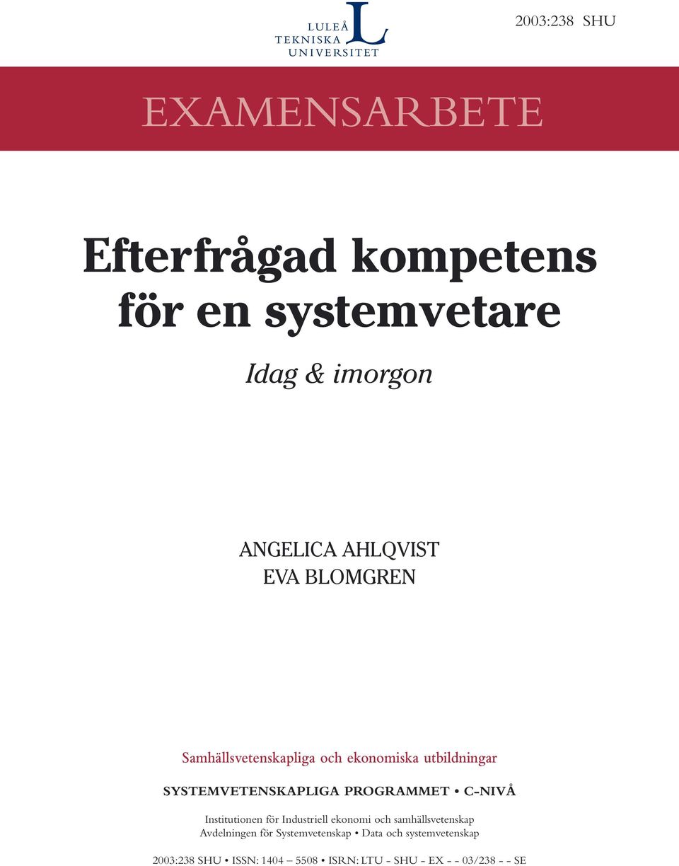 PROGRAMMET C-NIVÅ Institutionen för Industriell ekonomi och samhällsvetenskap Avdelningen för