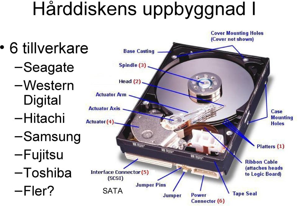 Western Digital Hitachi