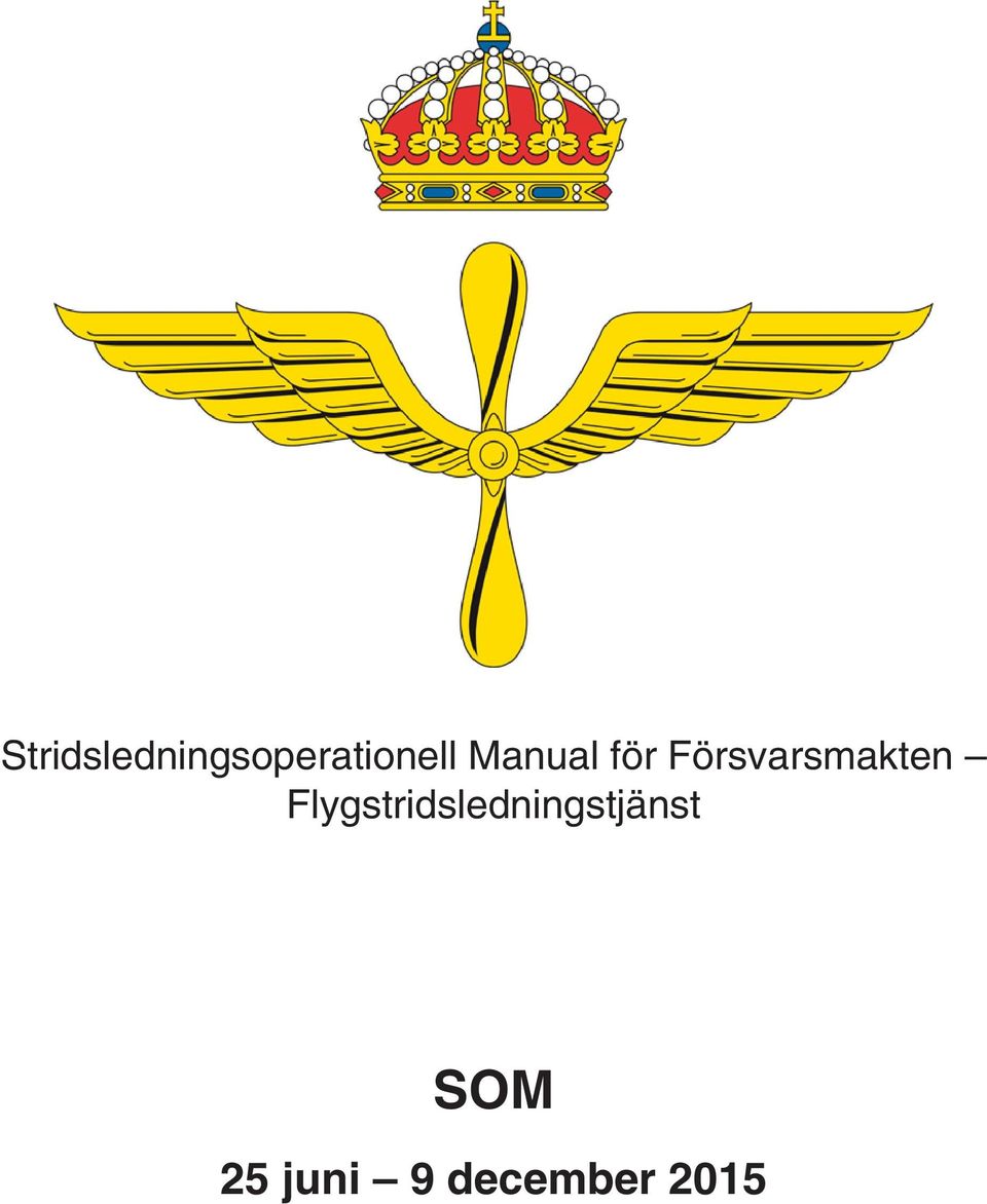 Flygstridsledningstjänst