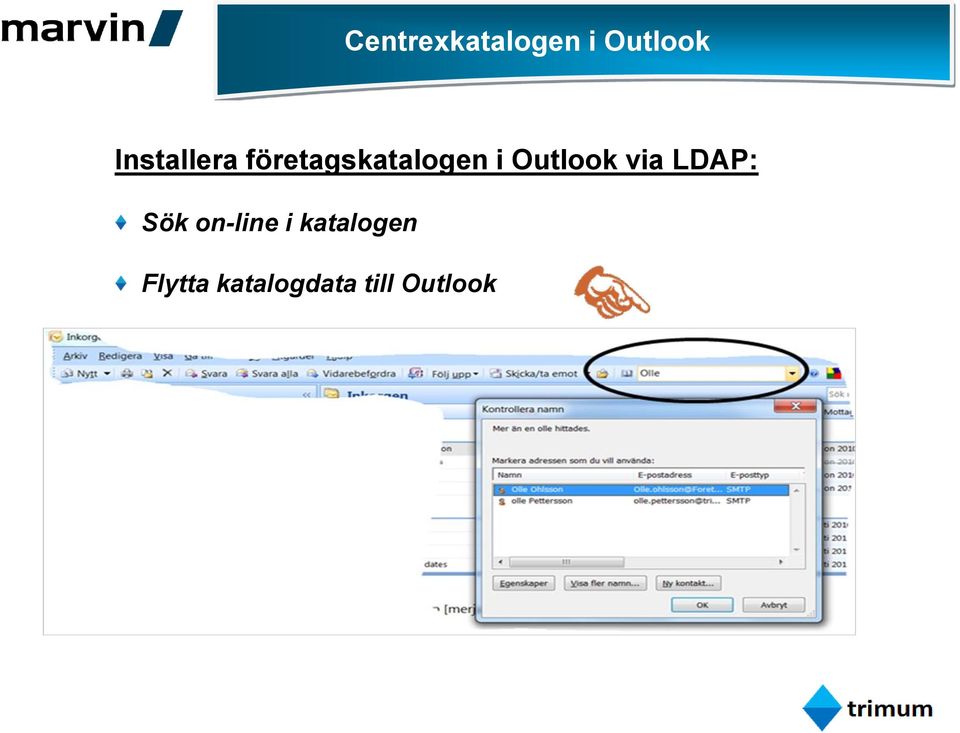 Outlook via LDAP: Sök on-line i