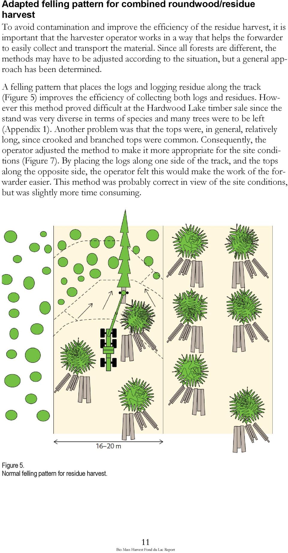 Since all forests are different, the methods may have to be adjusted according to the situation, but a general approach has been determined.