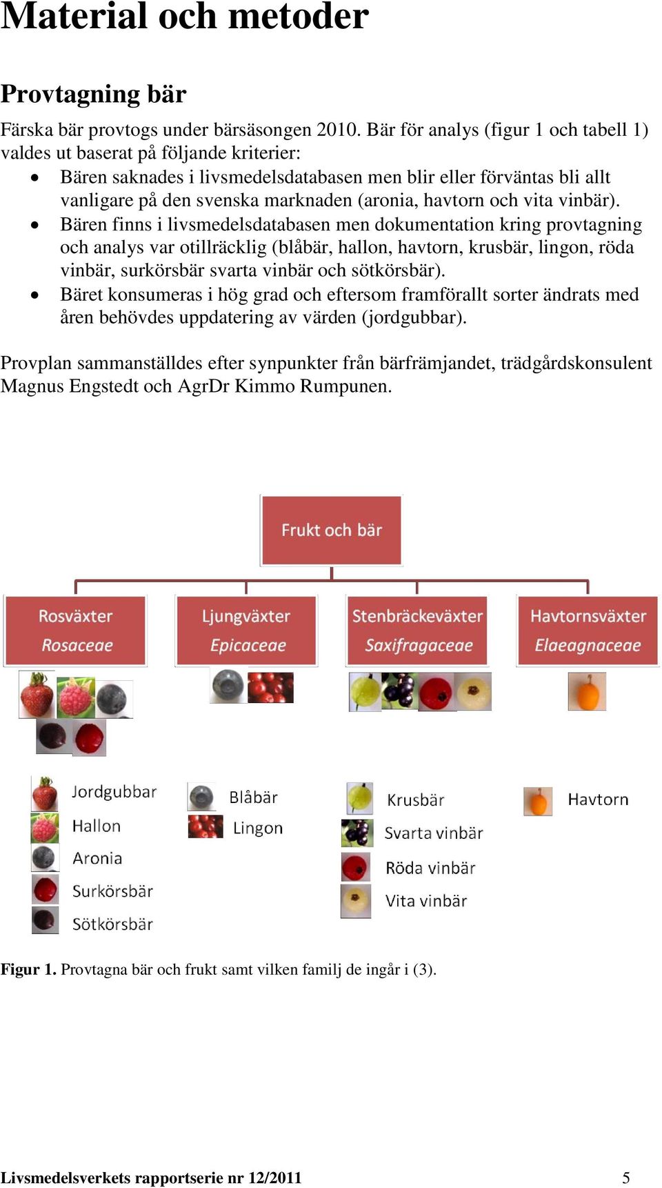 havtorn och vita vinbär).