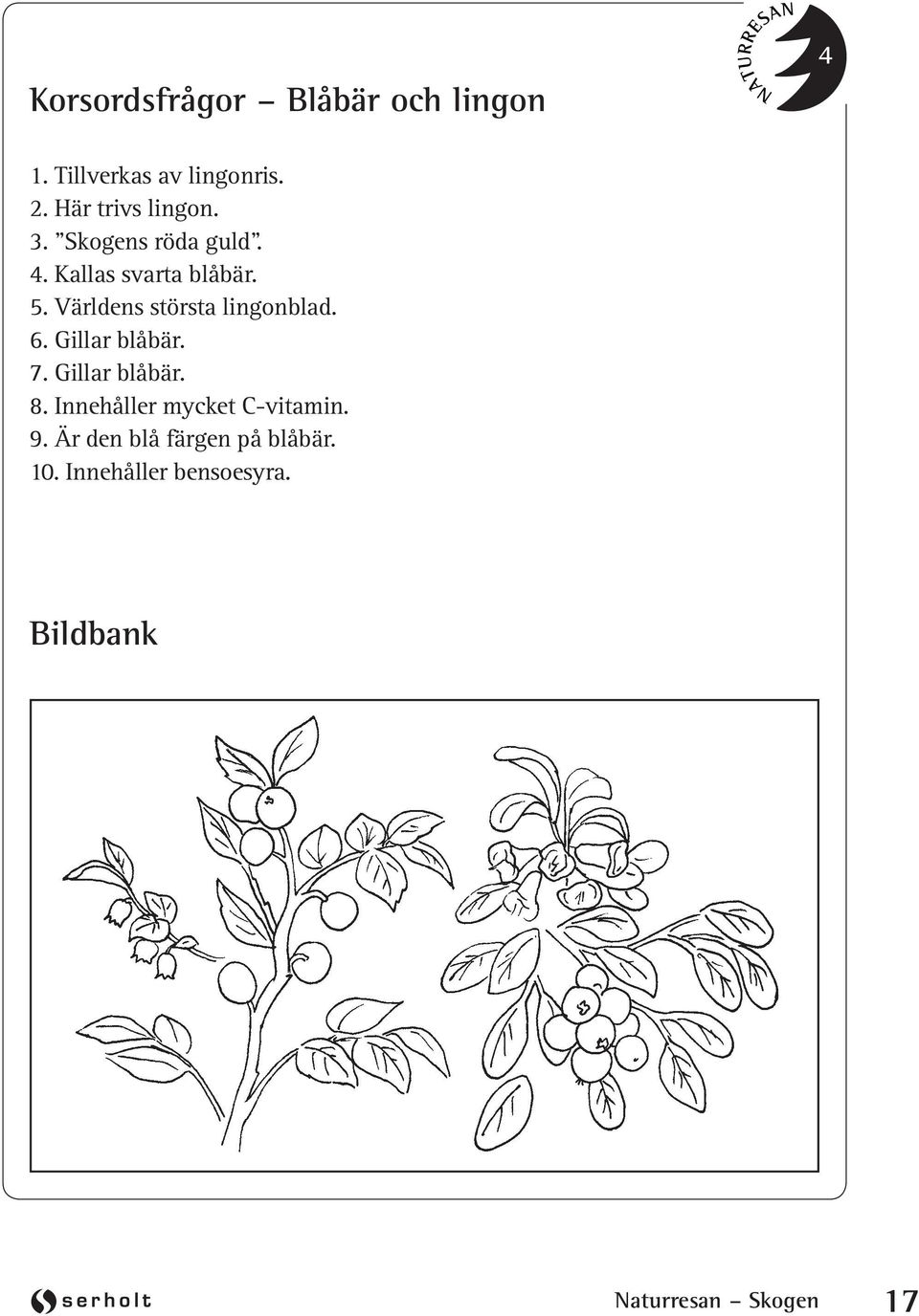 Världens största lingonblad. 6. Gillar blåbär. 7. Gillar blåbär. 8.