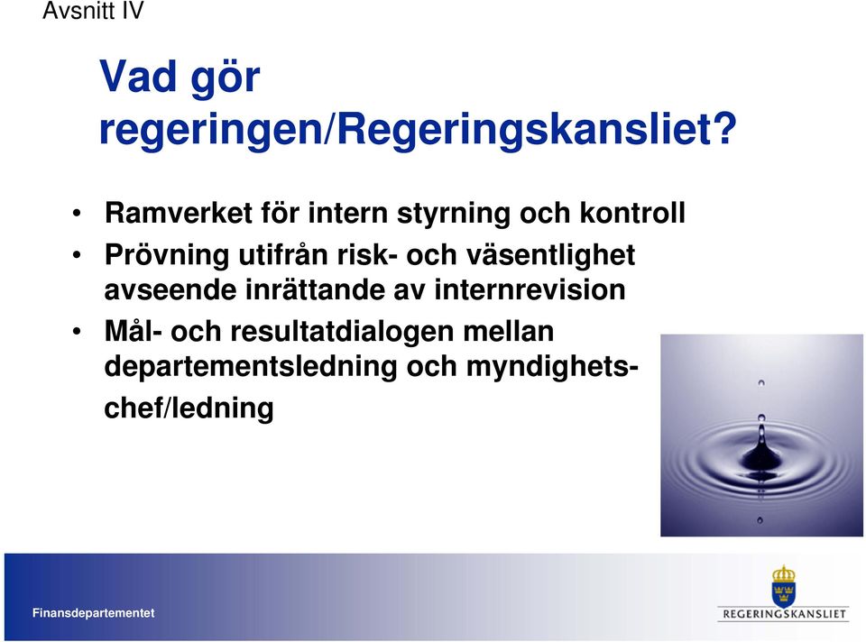 risk- och väsentlighet avseende inrättande av internrevision