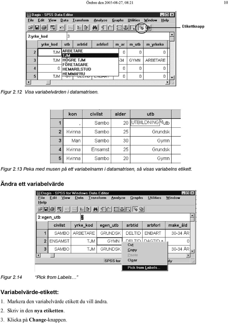 13 Peka med musen på ett variabelnamn i datamatrisen, så visas variabelns etikett.