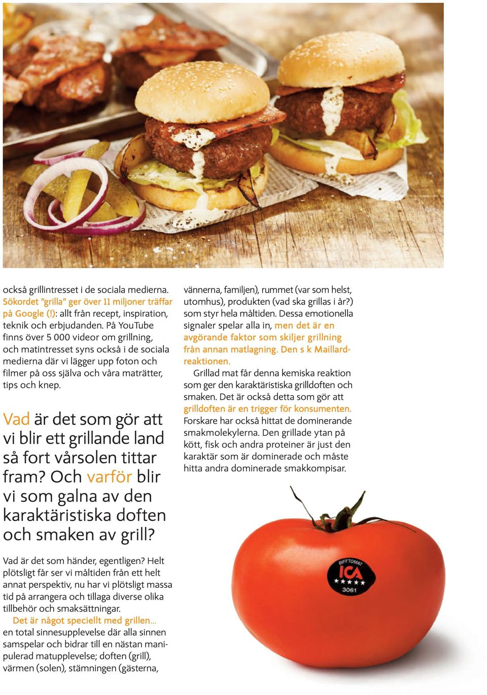 Vad är det som gör att vi blir ett grillande land så fort vårsolen tittar fram? Och varför blir vi som galna av den karaktäristiska doften och smaken av grill?