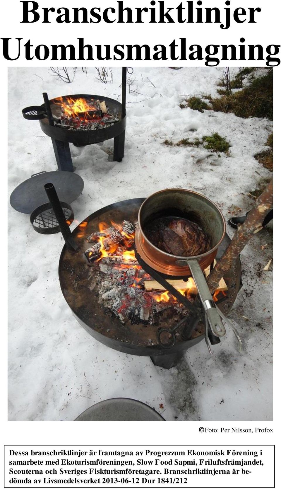 Ekoturismföreningen, Slow Food Sapmi, Friluftsfrämjandet, Scouterna och Sveriges