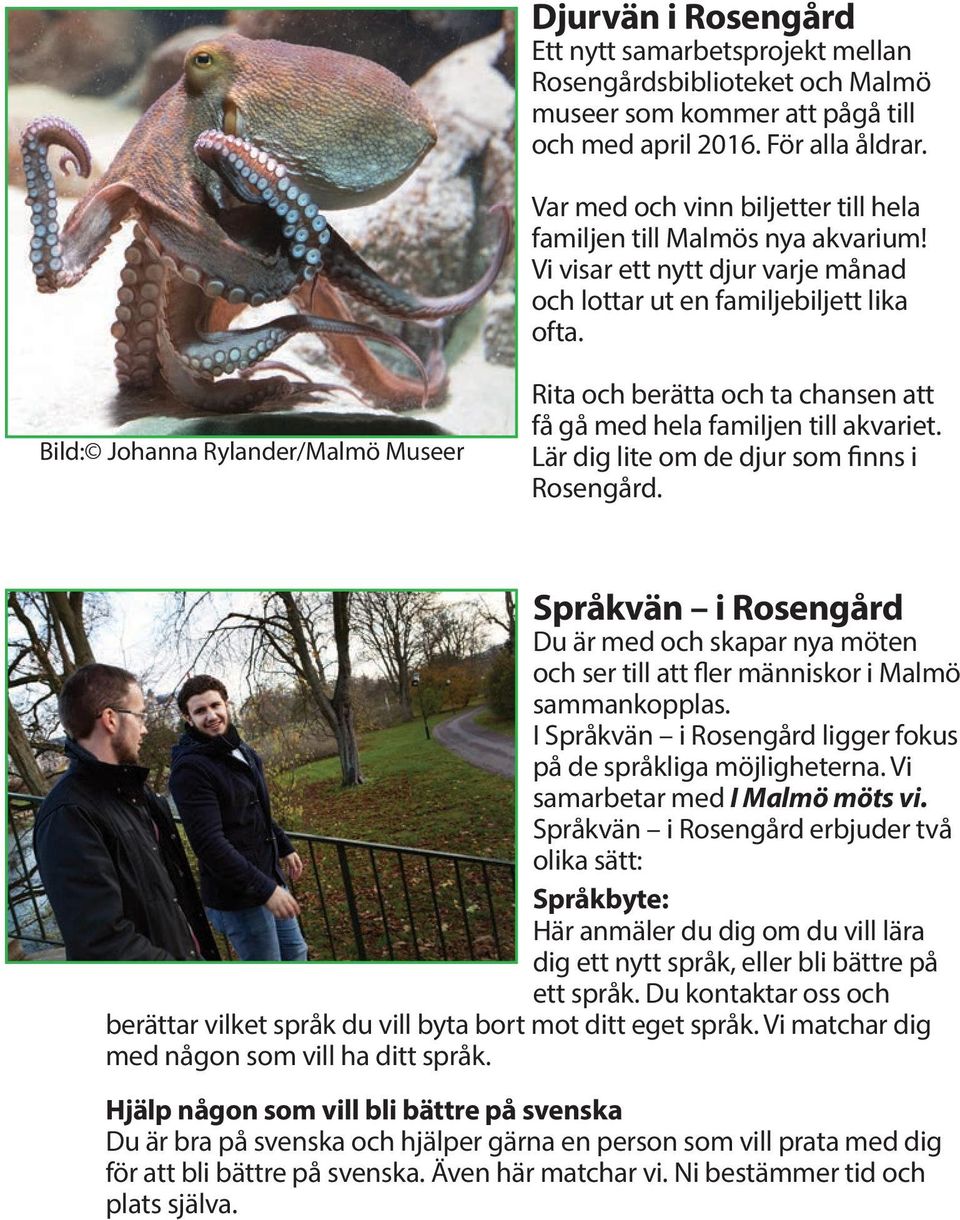 Bild: Johanna Rylander/Malmö Museer Rita och berätta och ta chansen att få gå med hela familjen till akvariet. Lär dig lite om de djur som finns i Rosengård.