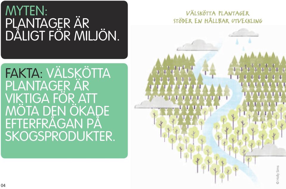 FAKTA: VÄLSKÖTTA PLANTAGER ÄR VIKTIGA FÖR ATT