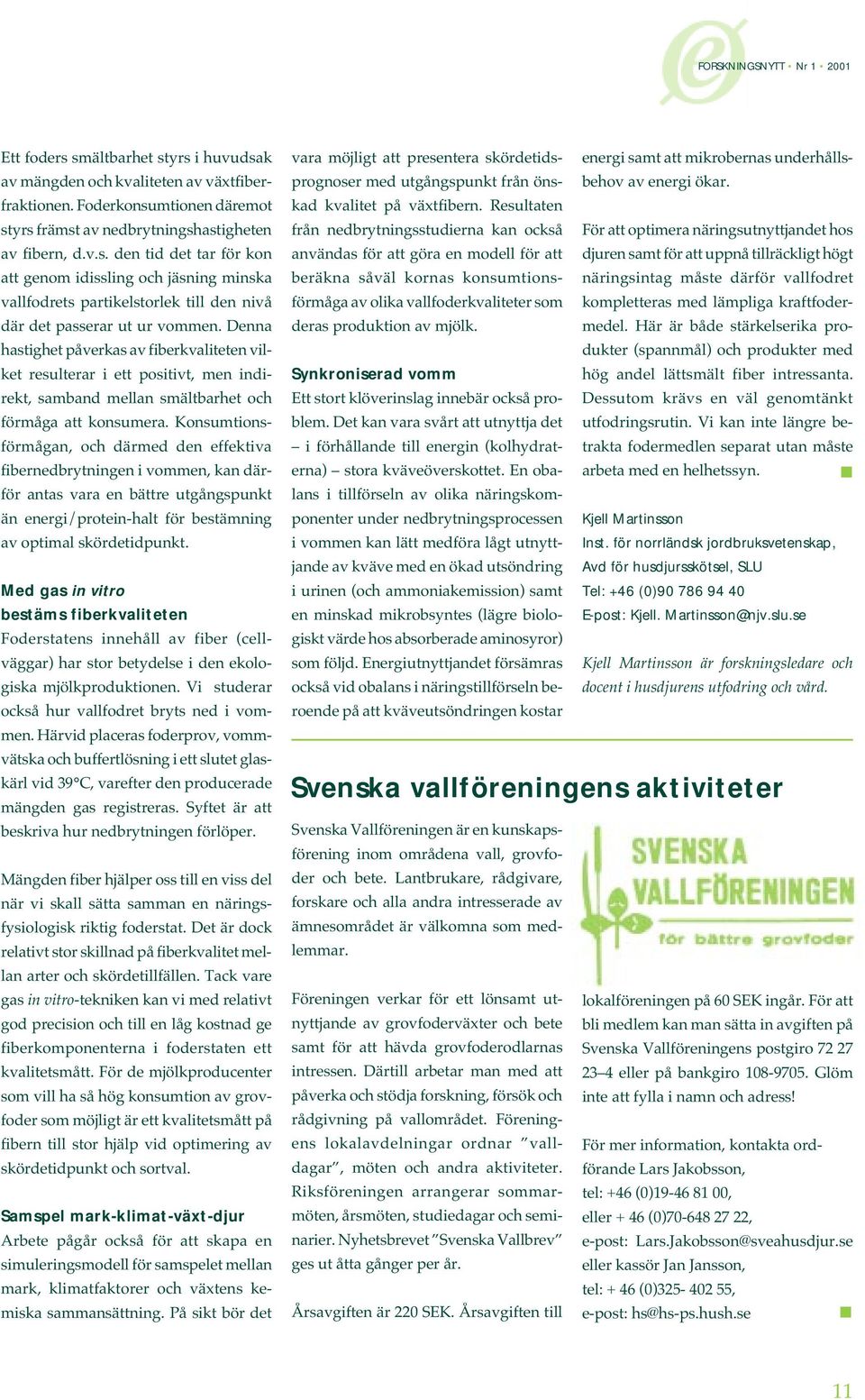 Konsumtionsförmågan, och därmed den effektiva fibernedbrytningen i vommen, kan därför antas vara en bättre utgångspunkt än energi/protein-halt för bestämning av optimal skördetidpunkt.