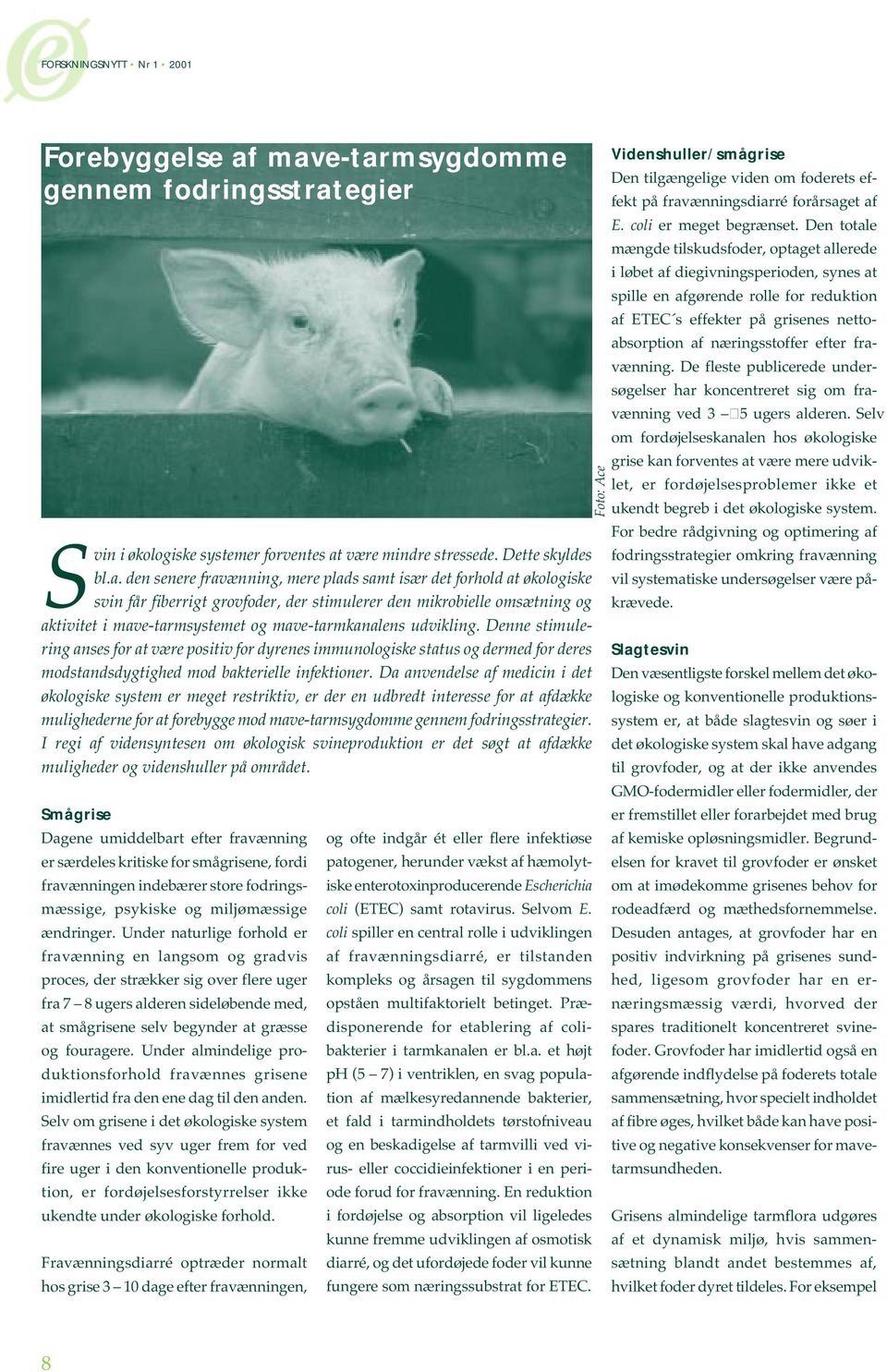 svin får fiberrigt grovfoder, der stimulerer den mikrobielle omsætning og aktivitet i mave-tarmsystemet og mave-tarmkanalens udvikling.