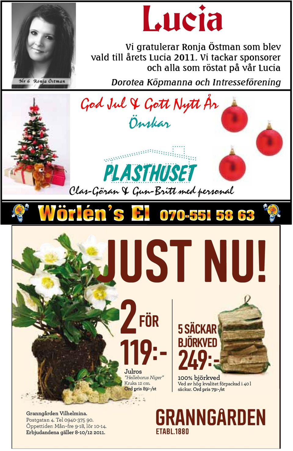 Clas-Göran & Gun-Britt med personal JUST NU! 2 FÖR 5 SÄCKAR BJÖRKVED 119 249 Julros Helleborus Niger Kruka 12 cm.