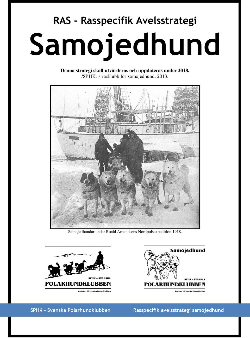 /SPHK: s rasklubb för samojedhund, 2013.