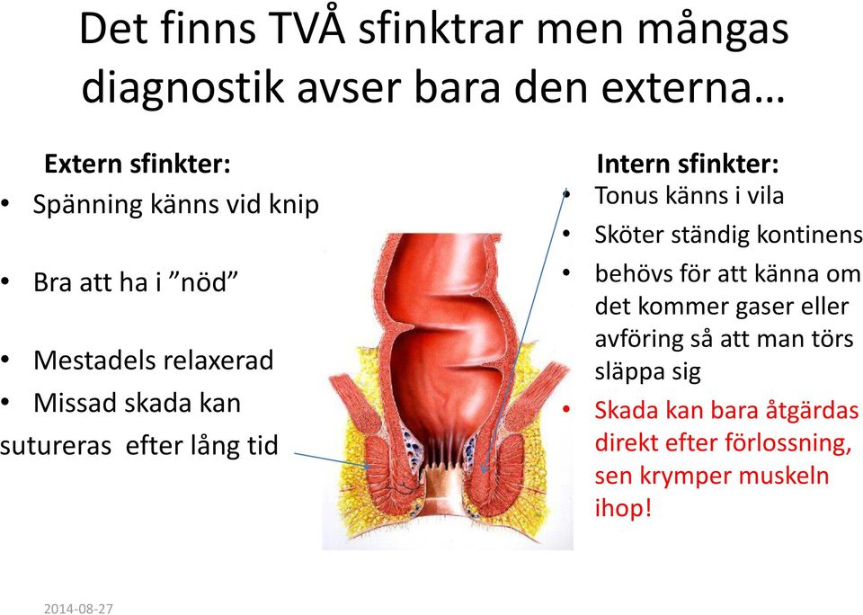 Tonus känns i vila Sköter ständig kontinens behövs för att känna om det kommer gaser eller avföring så