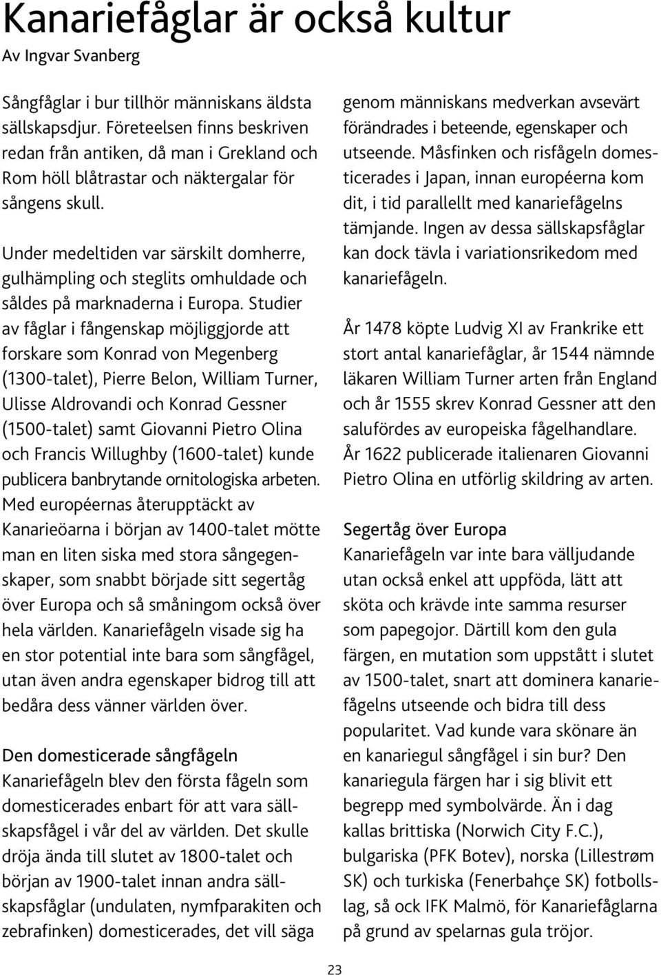 Under medeltiden var särskilt domherre, gulhämpling och steglits omhuldade och såldes på marknaderna i Europa.