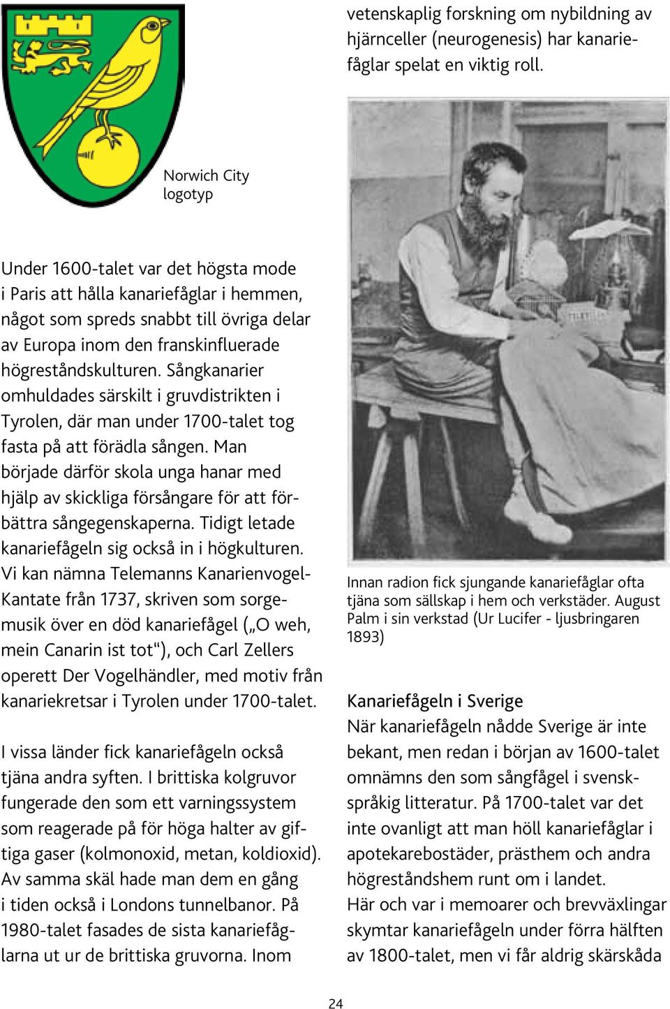 Sångkanarier omhuldades särskilt i gruvdistrikten i Tyrolen, där man under 1700-talet tog fasta på att förädla sången.