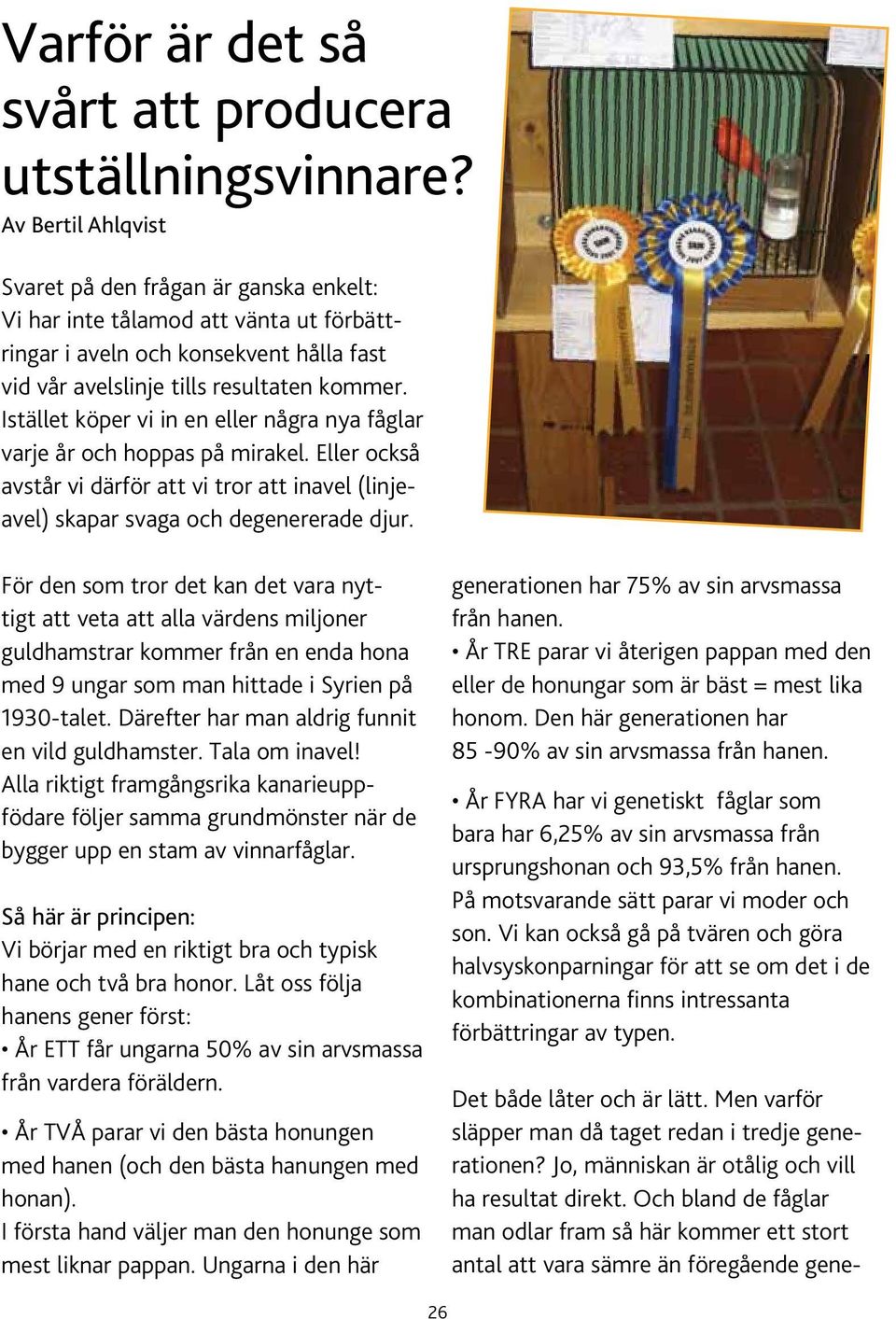 Istället köper vi in en eller några nya fåglar varje år och hoppas på mirakel. Eller också avstår vi därför att vi tror att inavel (linjeavel) skapar svaga och degenererade djur.