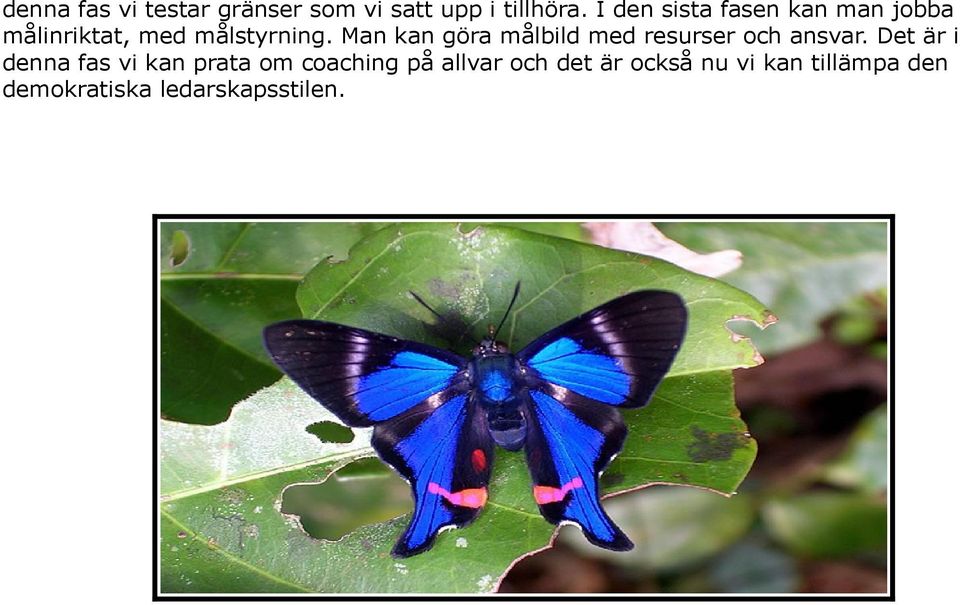 Man kan göra målbild med resurser och ansvar.