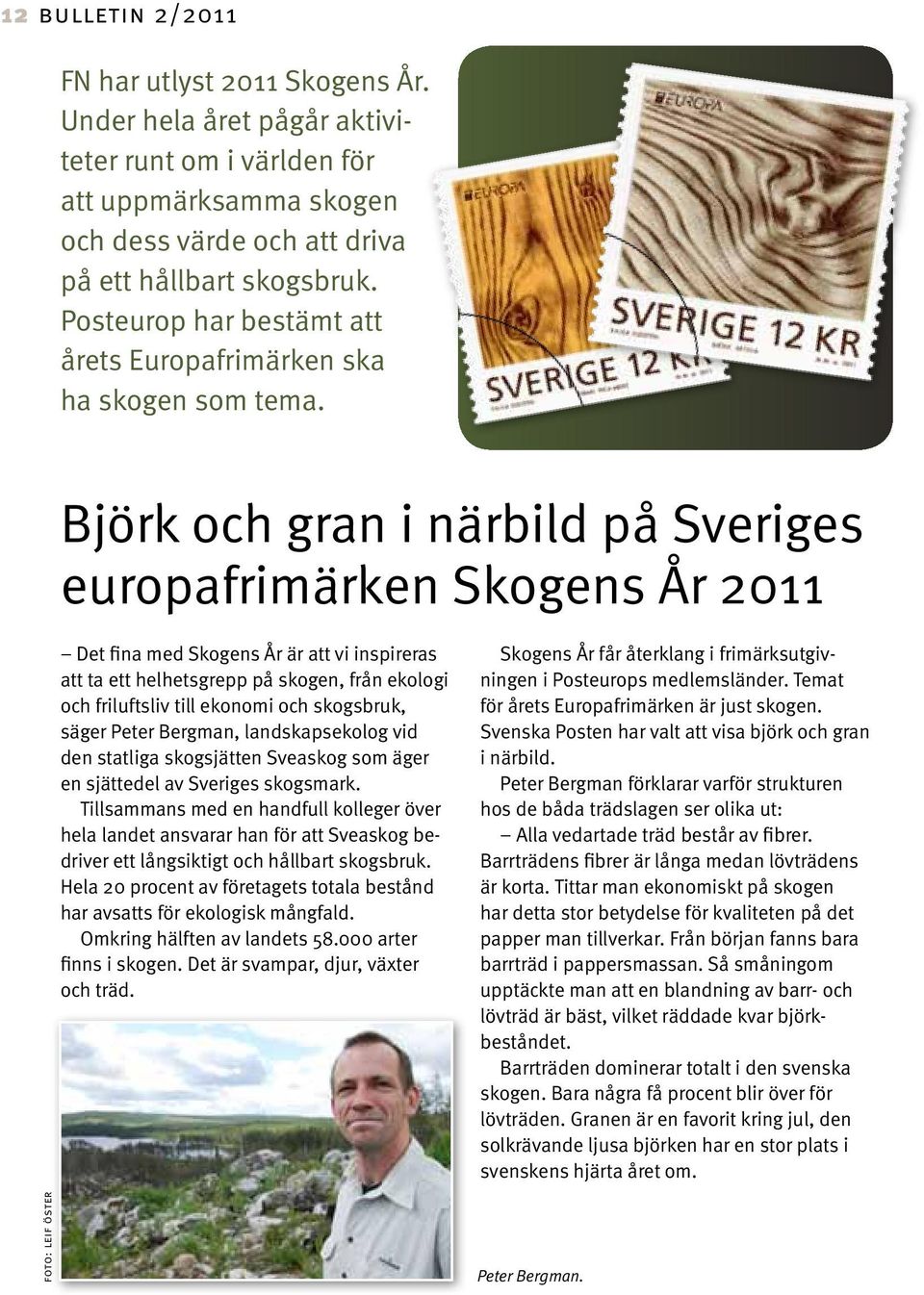 Björk och gran i närbild på Sveriges europafrimärken Skogens År 2011 Det fina med Skogens År är att vi inspireras att ta ett helhetsgrepp på skogen, från ekologi och friluftsliv till ekonomi och