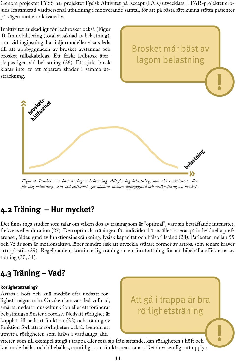 Inaktivitet är skadligt för ledbrosket också (Figur 4).