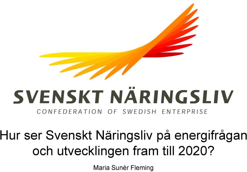 energifrågan och