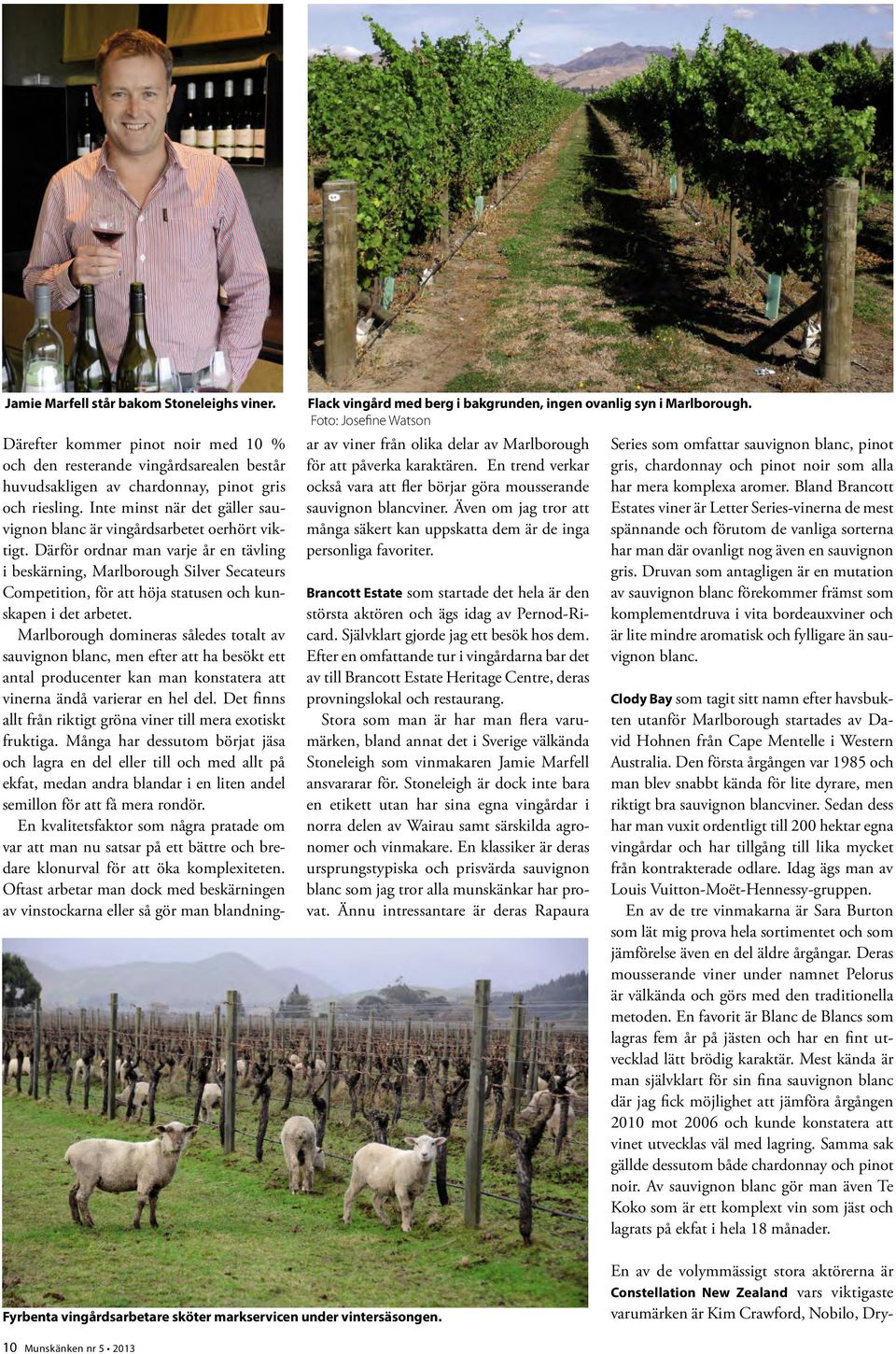 Inte minst när det gäller sauvignon blanc är vingårdsarbetet oerhört viktigt.