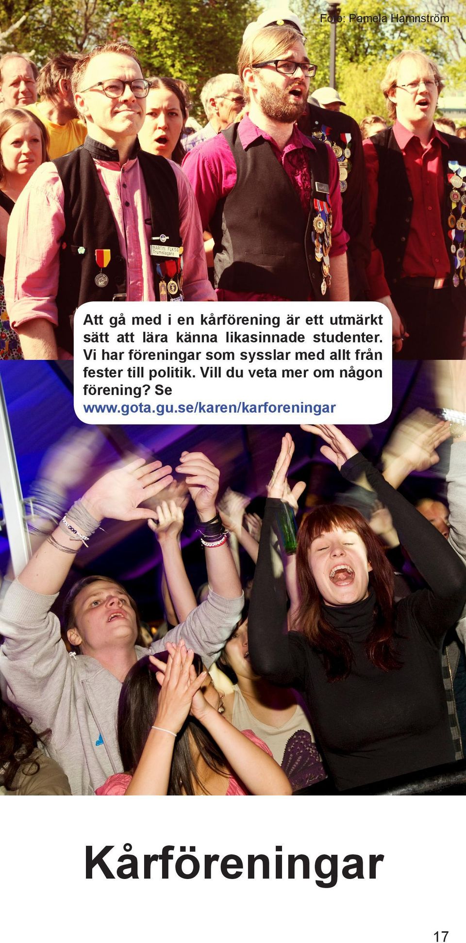 Vi har föreningar som sysslar med allt från fester till politik.